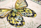 Cross Stitch Kit - Vintage Butterfly