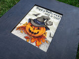 Cross Stitch Kit - Trick or treat