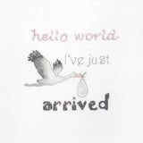 Birth Announcement Cross Stitch Kit - A gift for a newborn - Stitch4Art