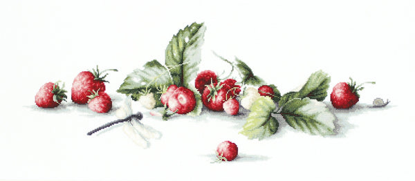 Cross Stitch Kit Etude with Strawberries